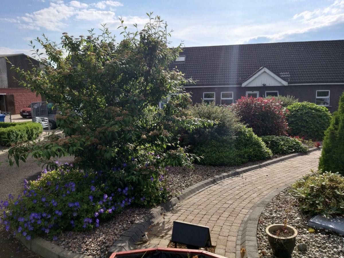 Antrim Heights Bnb Exterior photo
