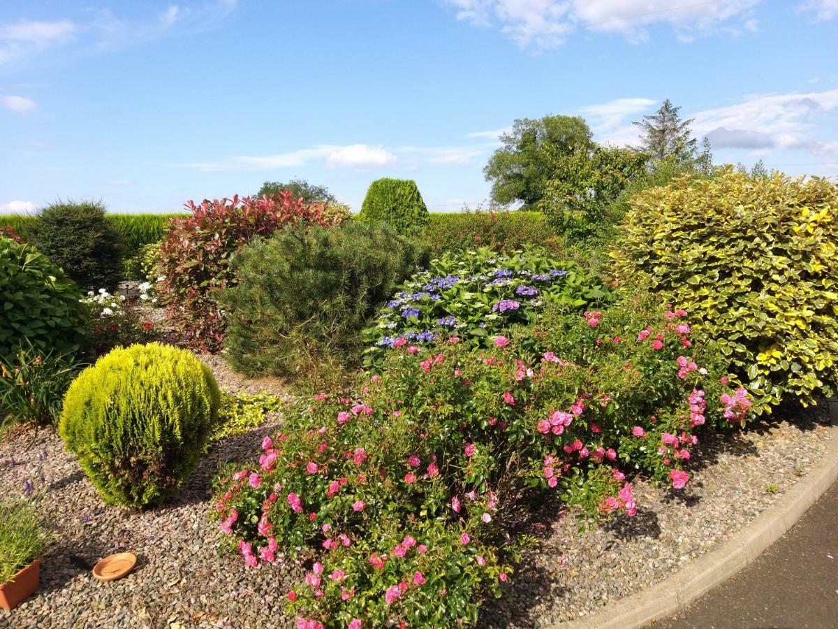 Antrim Heights Bnb Exterior photo